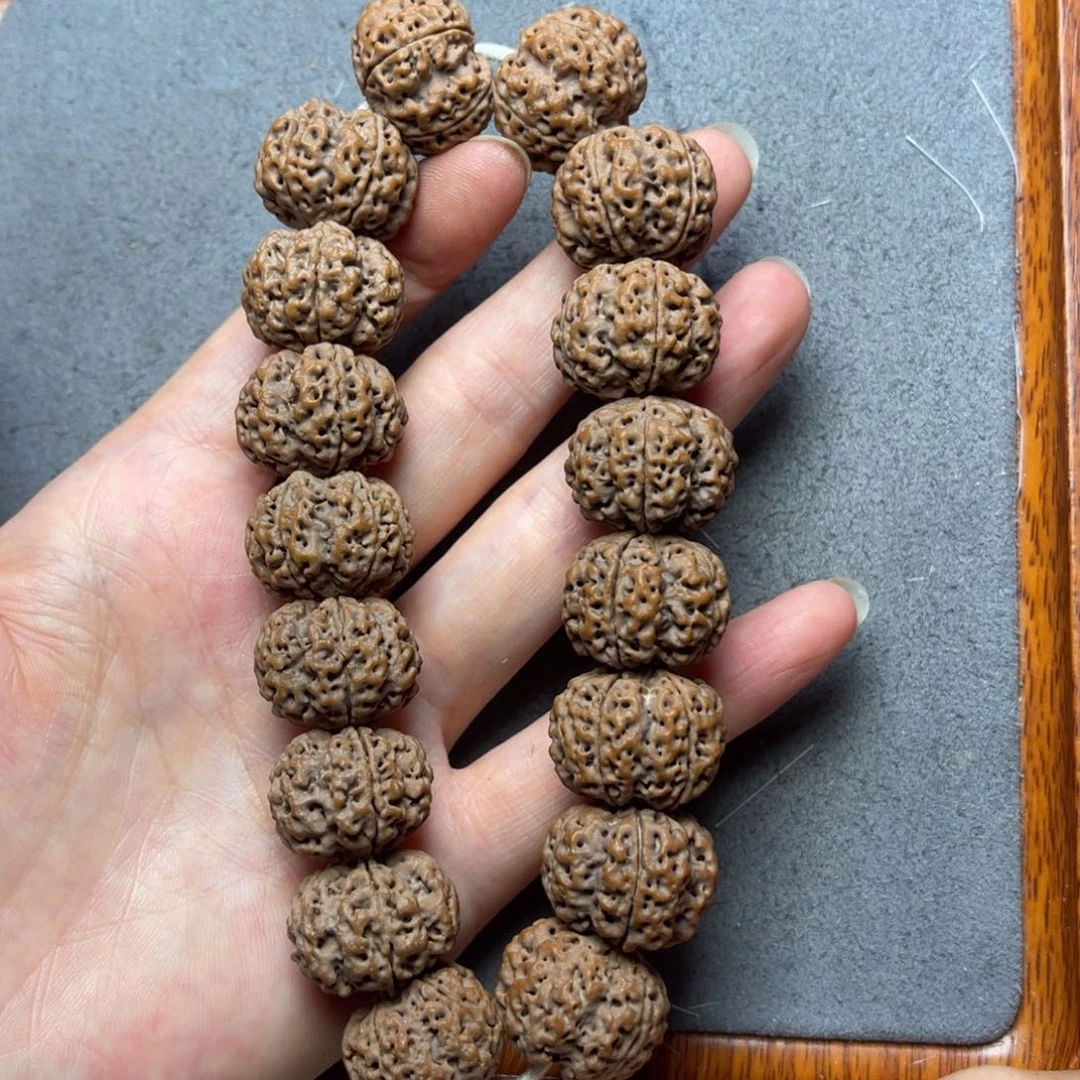 菩提18号金刚菩提梁梅花蜂窝21