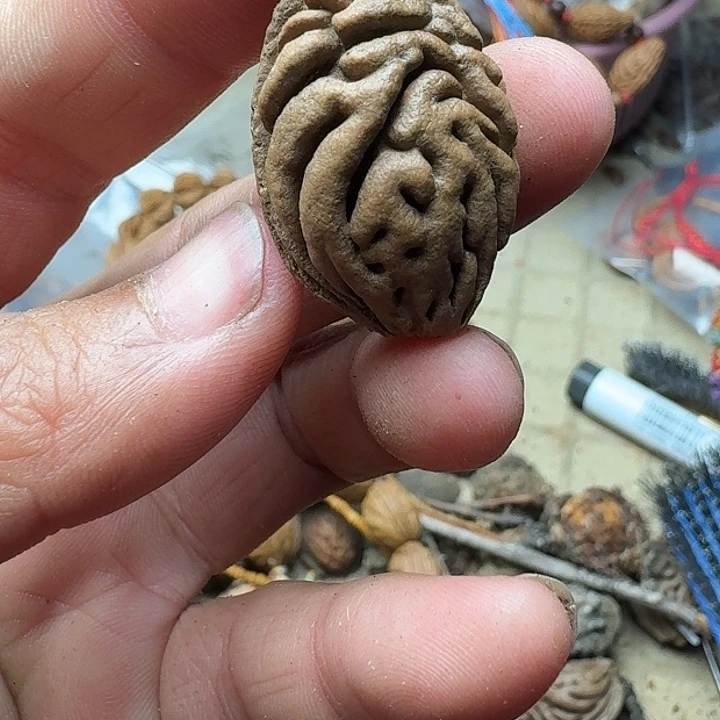 舍***溪大叶紫檀（黑酸枝木类）