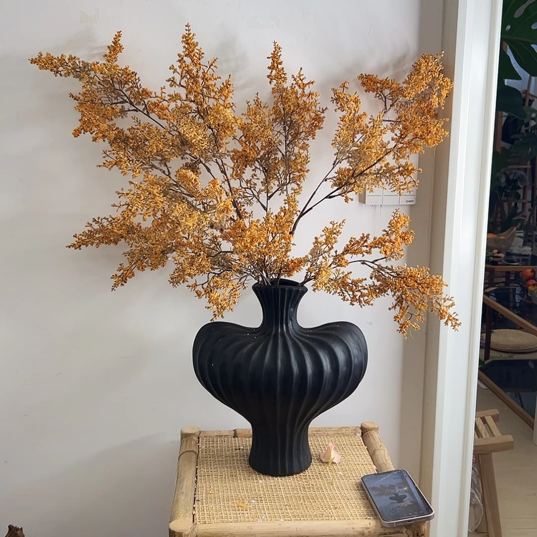 拍样品直播间福利