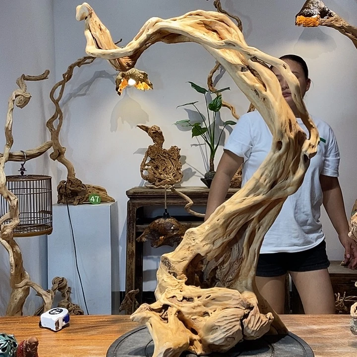 物***课天然根雕陶制艺术品