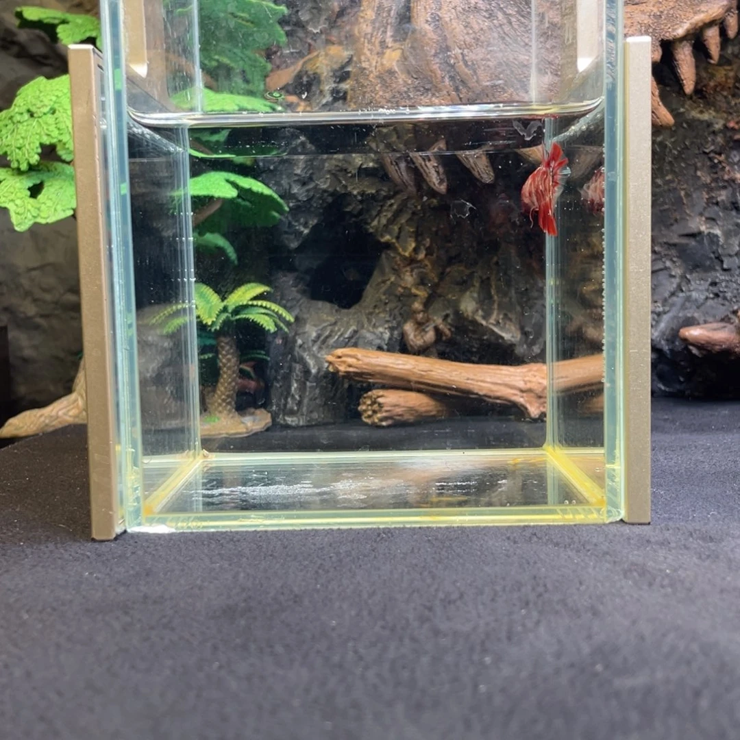 斗鱼十二月三日竞价