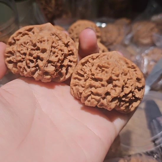 1***1文玩核桃吊坠48龙鼎