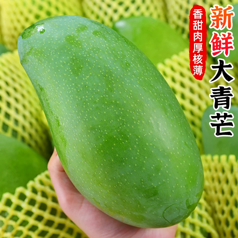 【肉厚香甜】云南大青芒2.5-9斤绿芒果多汁青皮芒果甜心芒新鲜水果