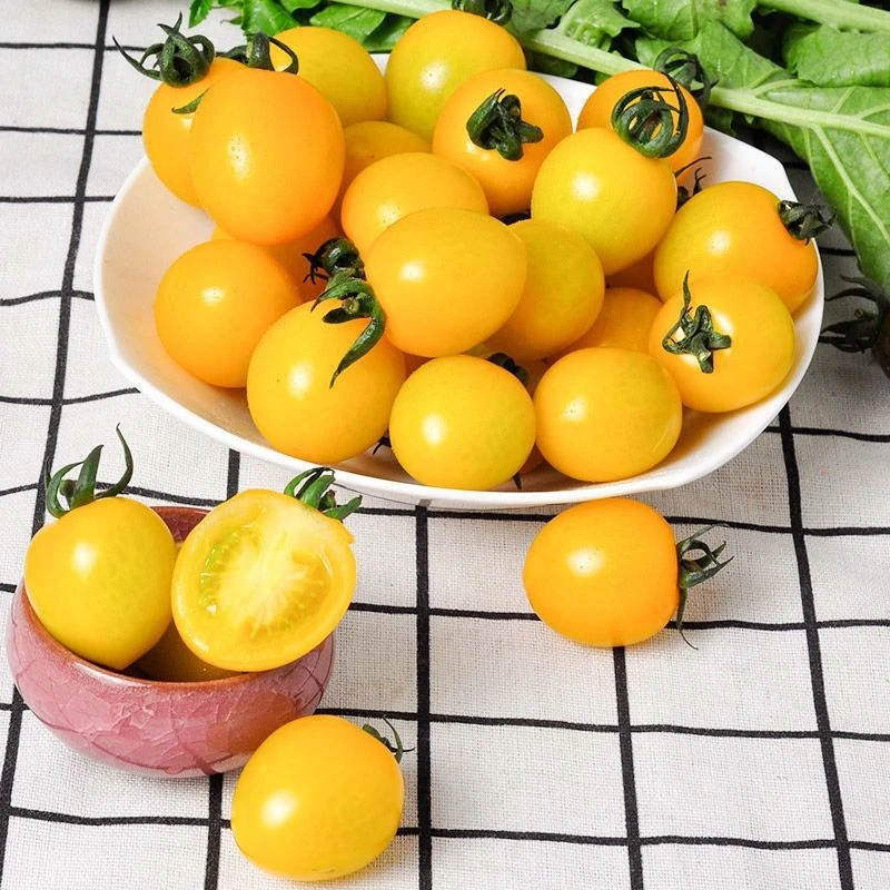丹东黄姑娘小柿子（保甜度，保口感，保好吃）新鲜