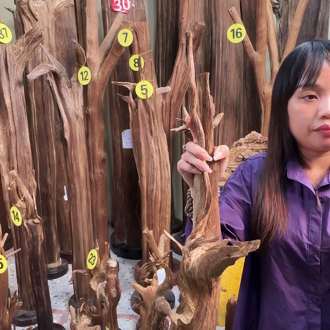 沉香沉香碎屑天然沉香原材料香料熏料