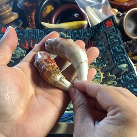 瓷片追*寻呼台的人也太少见啦哈