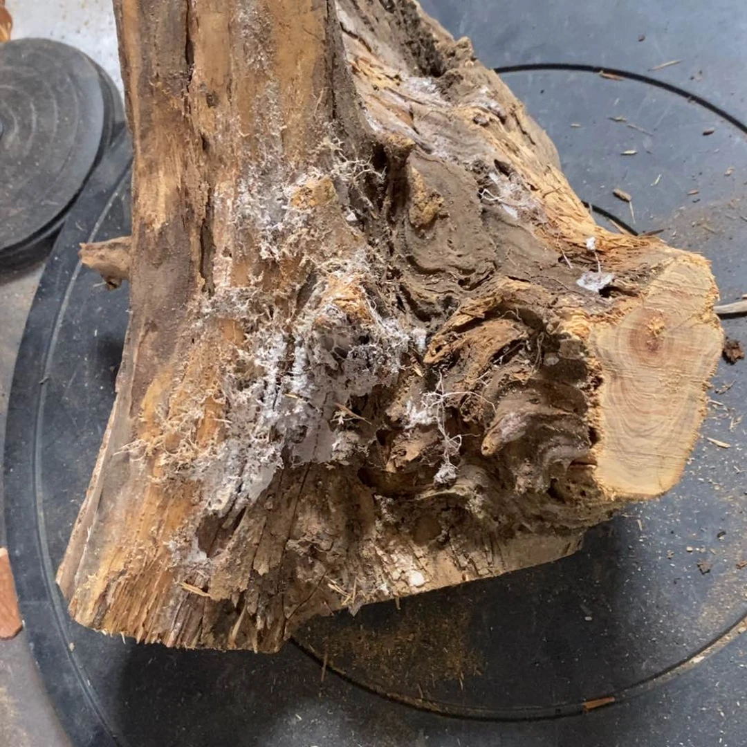 柏木听*我们都是好孩子