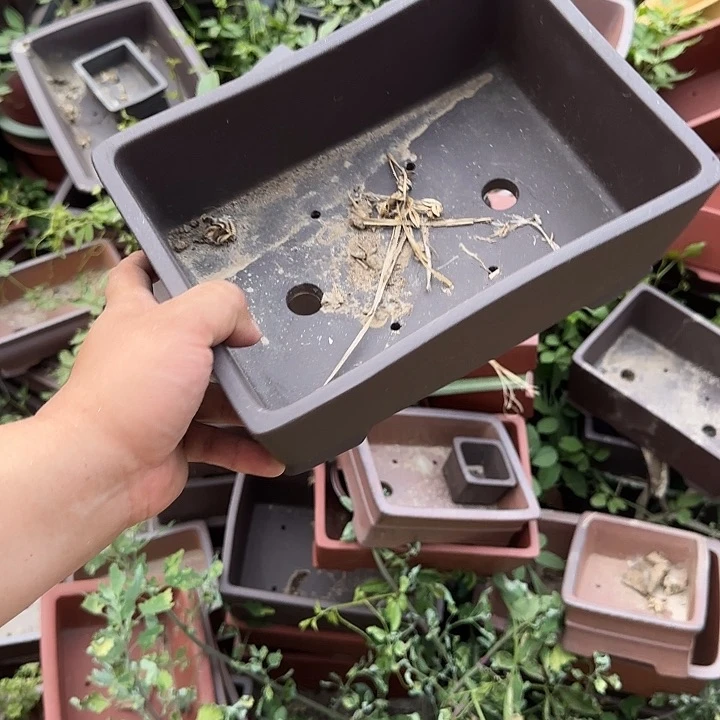 是一个集休闲农业的休闲