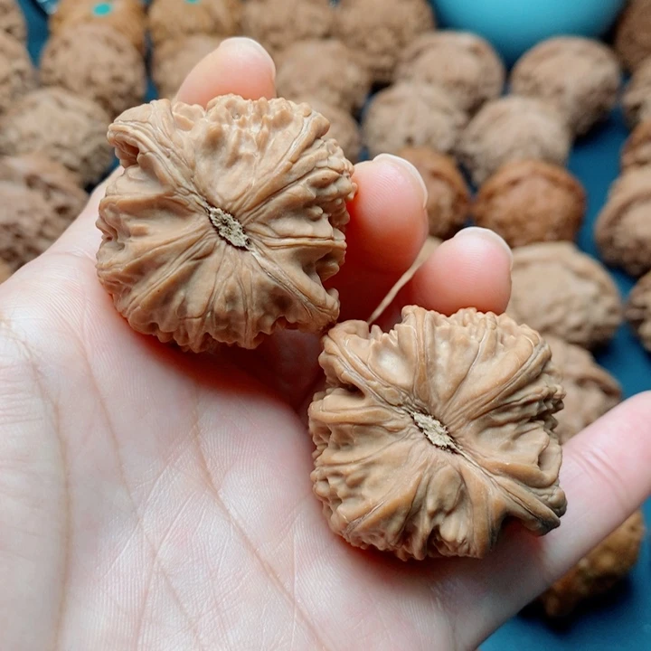 文玩核桃把件白狮子41全品