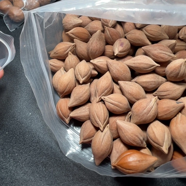 5***6猪牙手串/手链我是