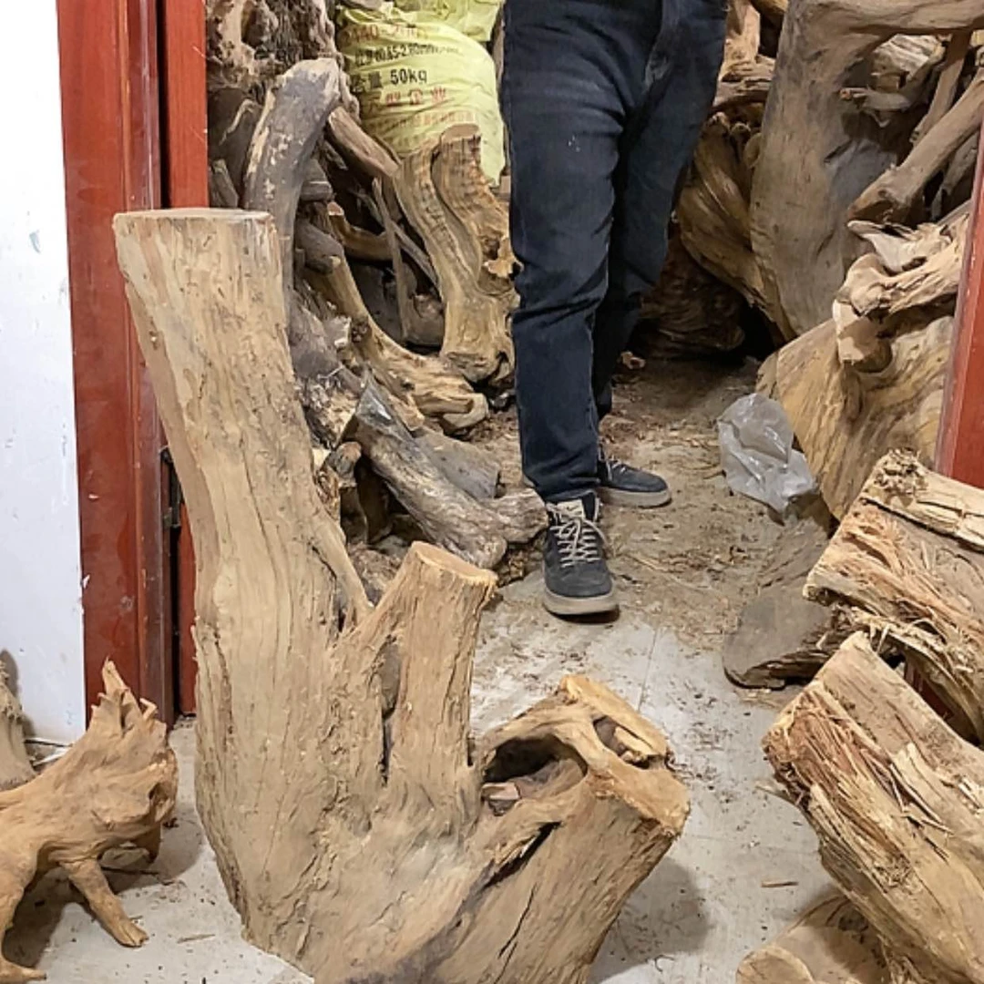 【闪购商品】柏木宽****心我们都是好孩子