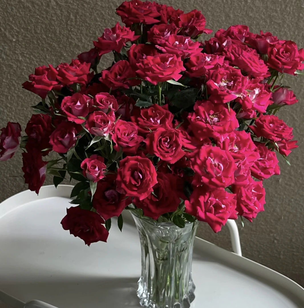 （曼）多头波塞尼娜8支➕2支防损鲜花任意满两单包邮