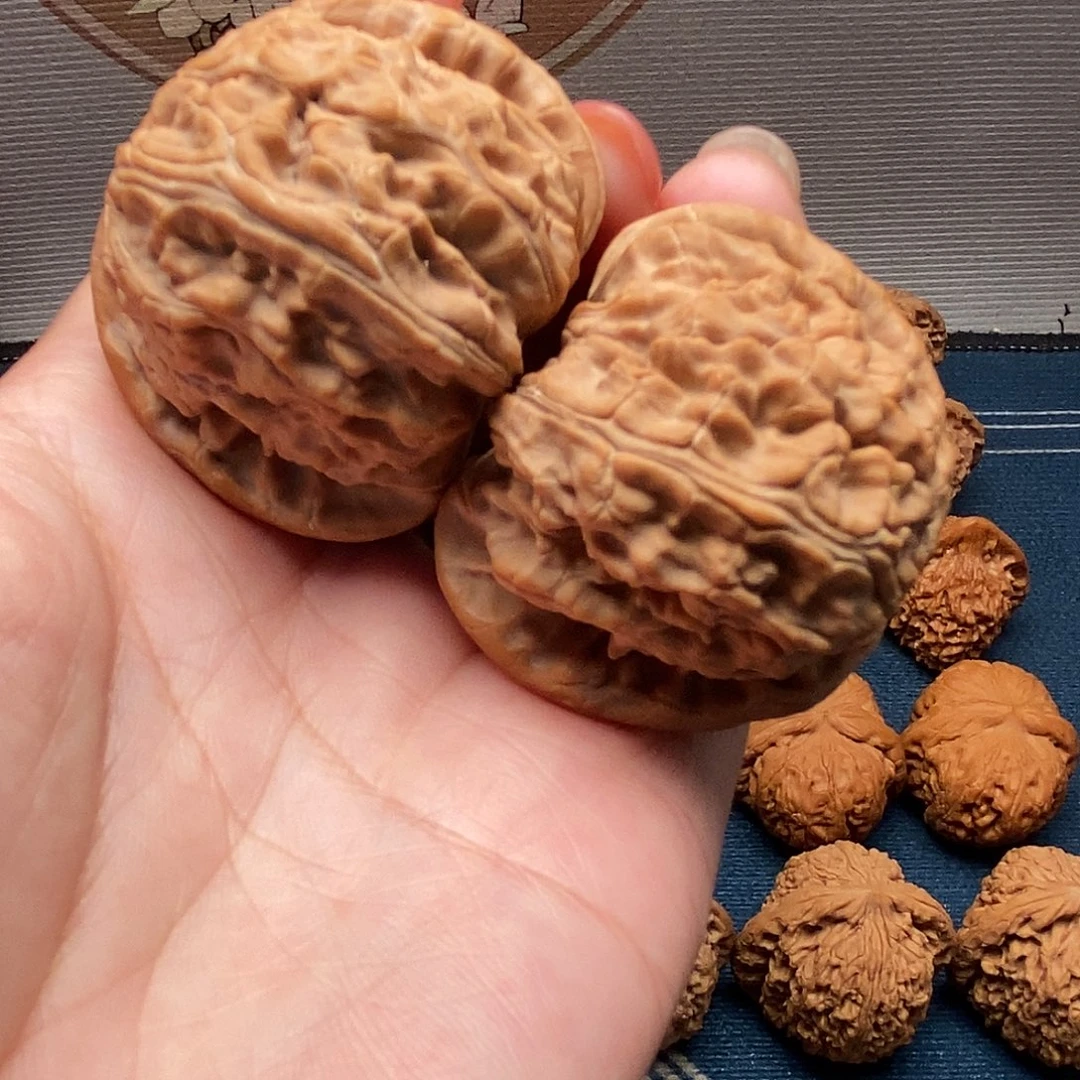 核桃把件8白狮子尺寸45