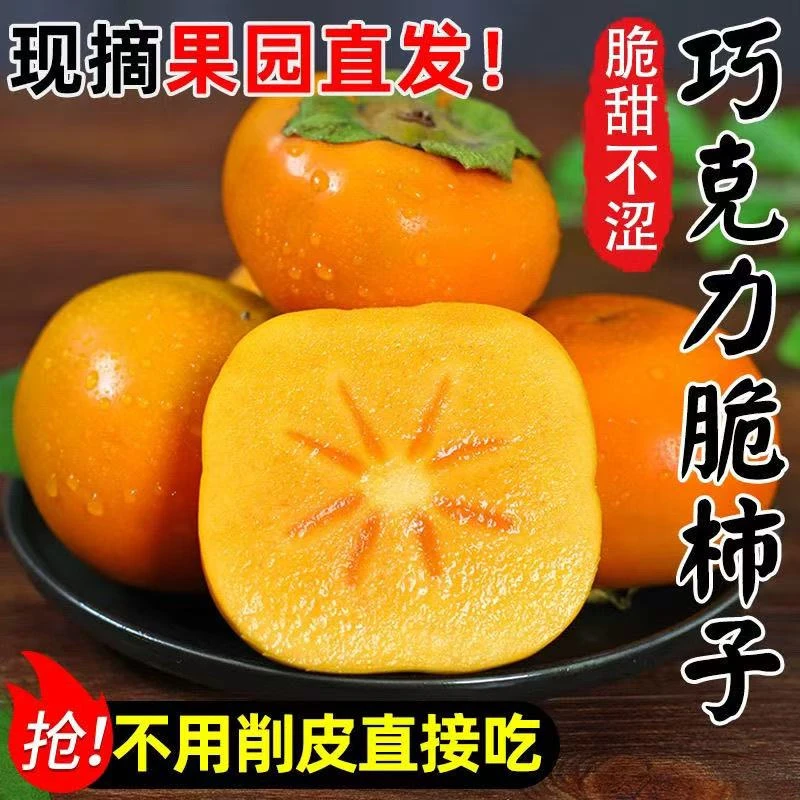 【新鲜采摘】正宗阳丰甜脆柿子净重4.5斤当季现摘新鲜水果甜柿子