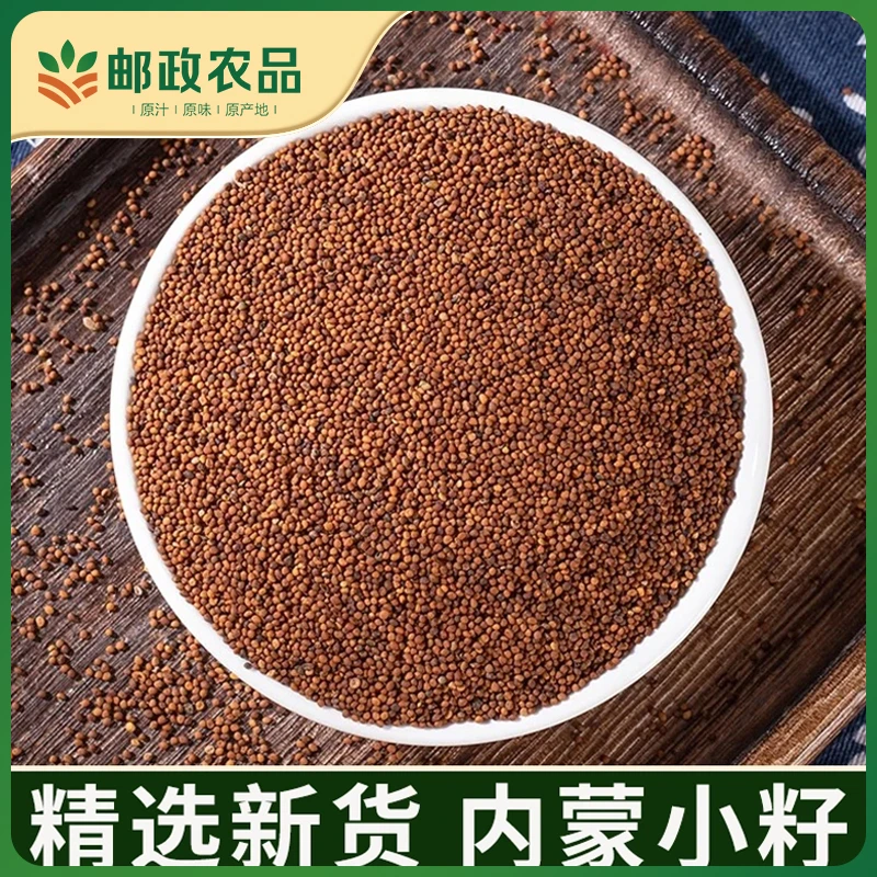 【邮政农品】菟兔·丝子精选内蒙小籽搭配枸杞泡茶泡水喝