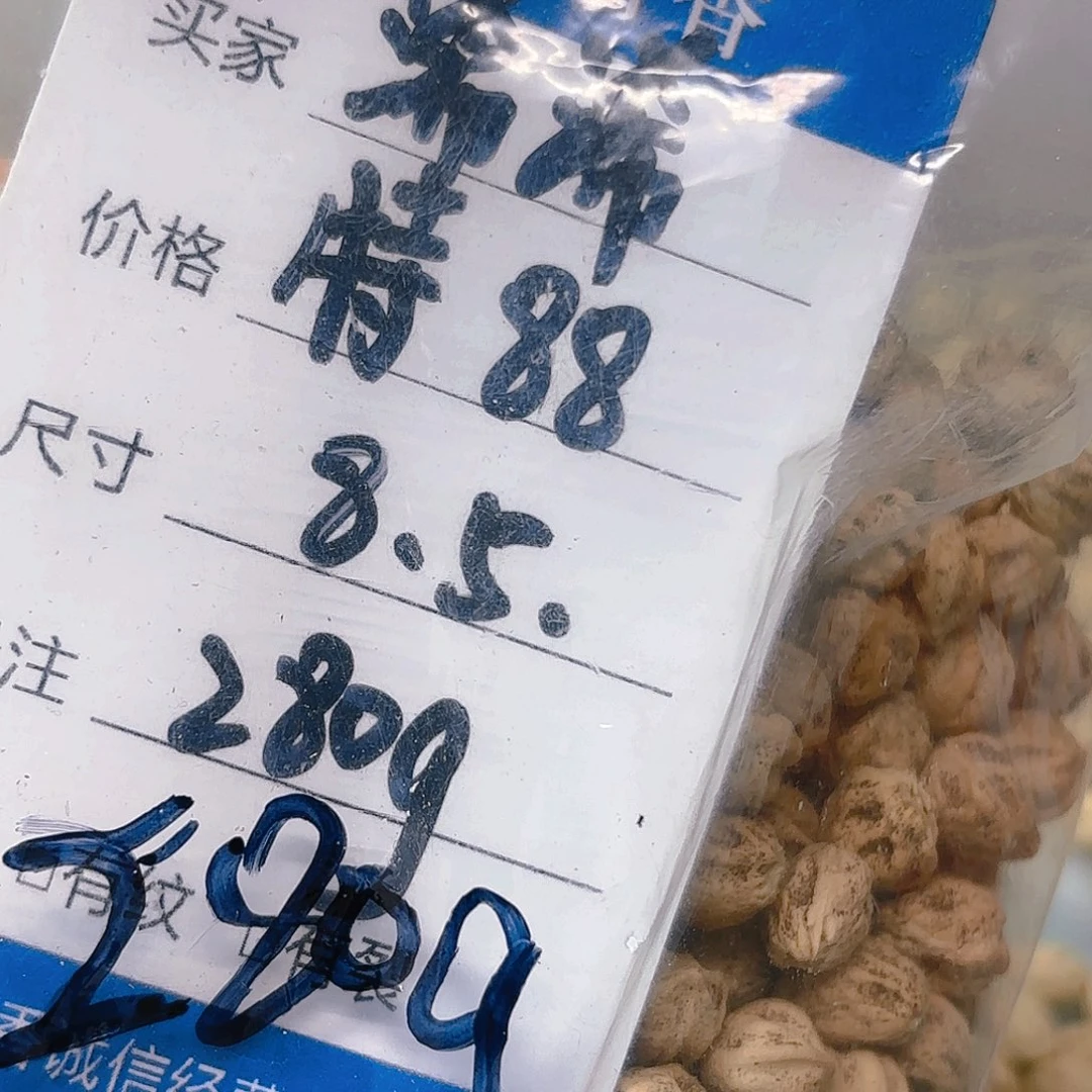 浠*柏香籽散子 280 克散子