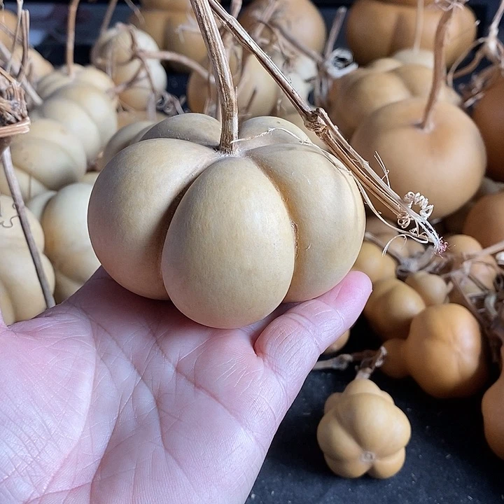 宋***?葫芦的颜色是蓝色还是