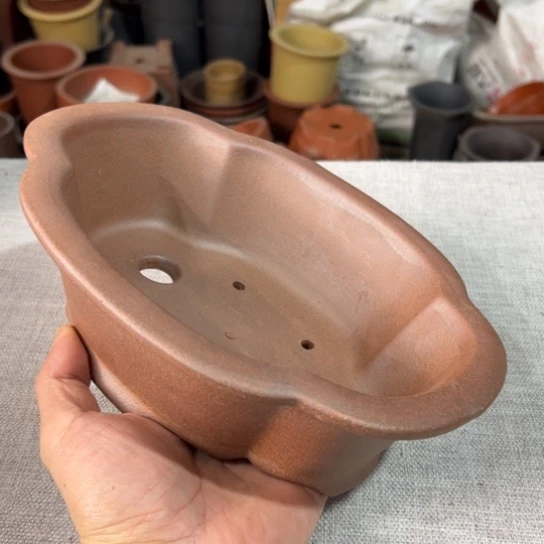 【闪购商品】21，16，6