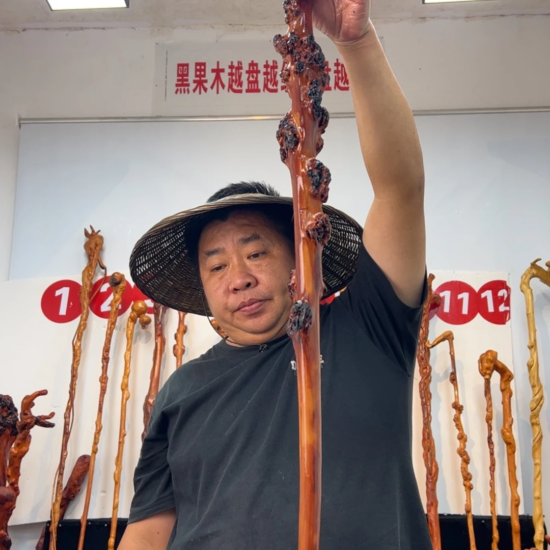 地***者黑果木其他黑果木592