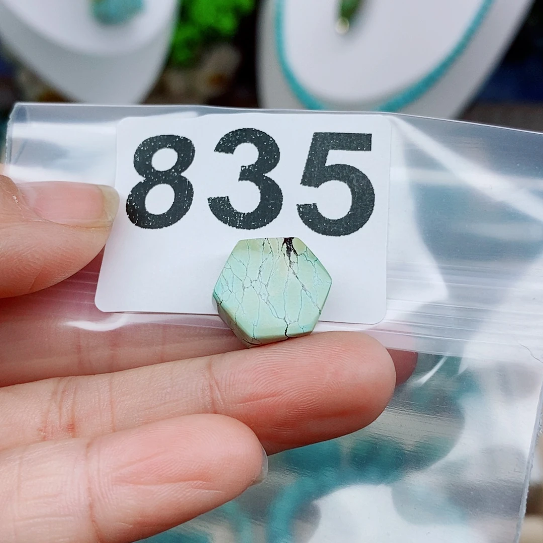 绿松石未镶嵌颈饰