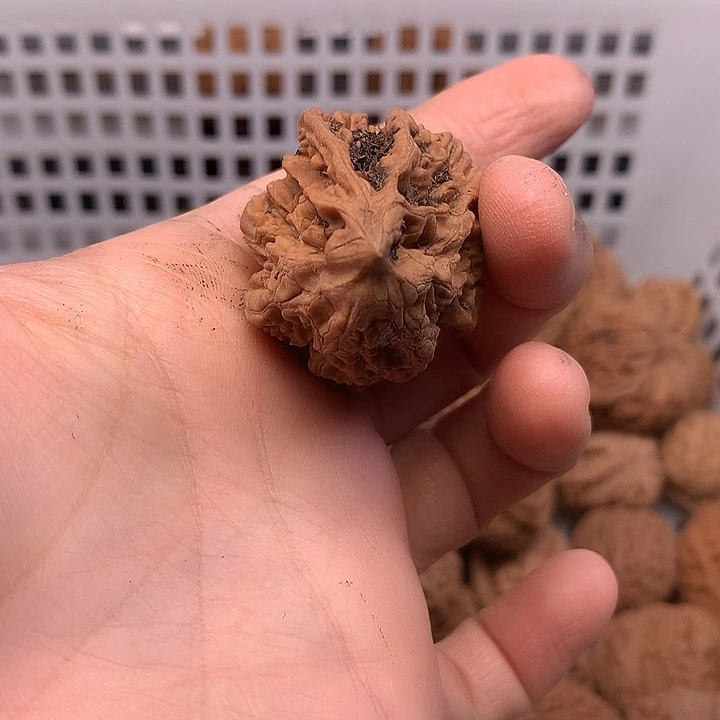 齐***齐吊坠文玩核桃文玩核桃