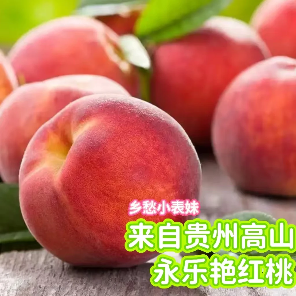 贵州永乐艳红桃 小果5斤   新鲜应季艳红桃 包邮！