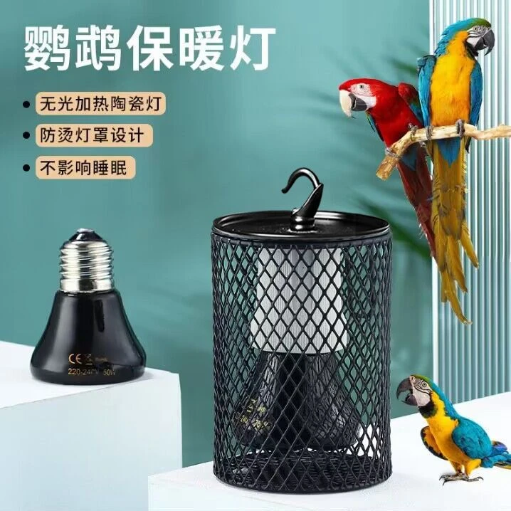 鹦鹉加热加温取暖灯鸟笼保温灯仓鼠芦丁鸡玄凤防咬无光发热陶瓷灯