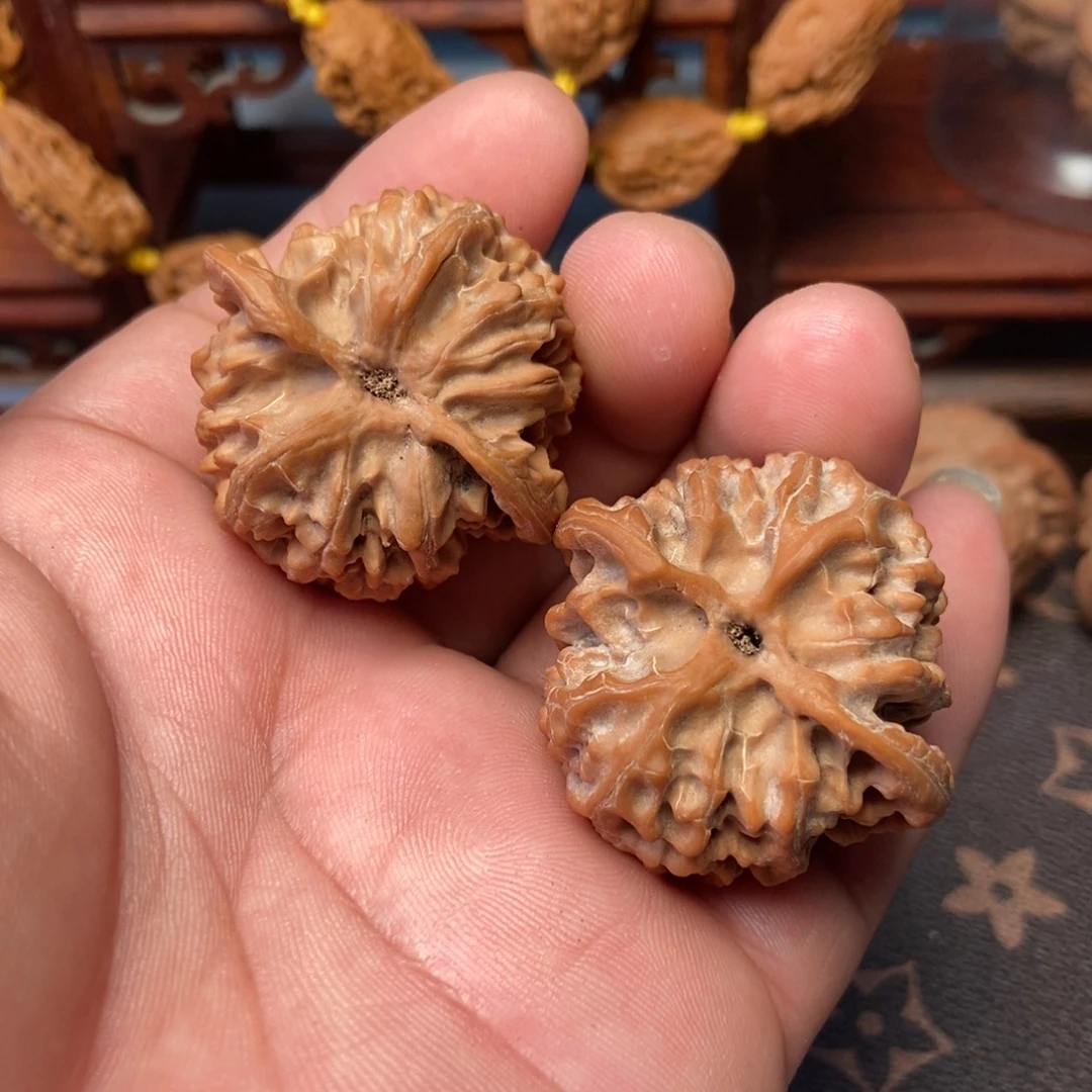 小***卢核桃全品无动无修苹果园40