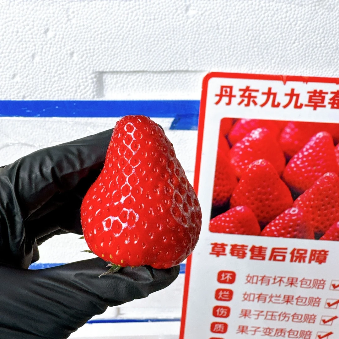 【同城小时达】买二送三正宗丹东99果王特大果