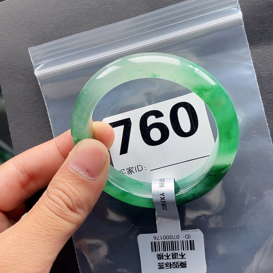 未镶嵌手镯石英质玉（非洲翠）54圈口760
