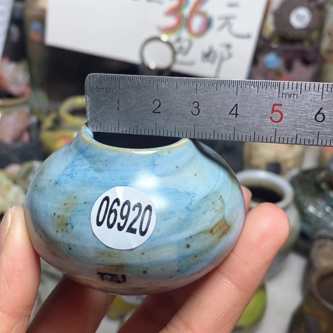 花盆拍3送一个小礼物