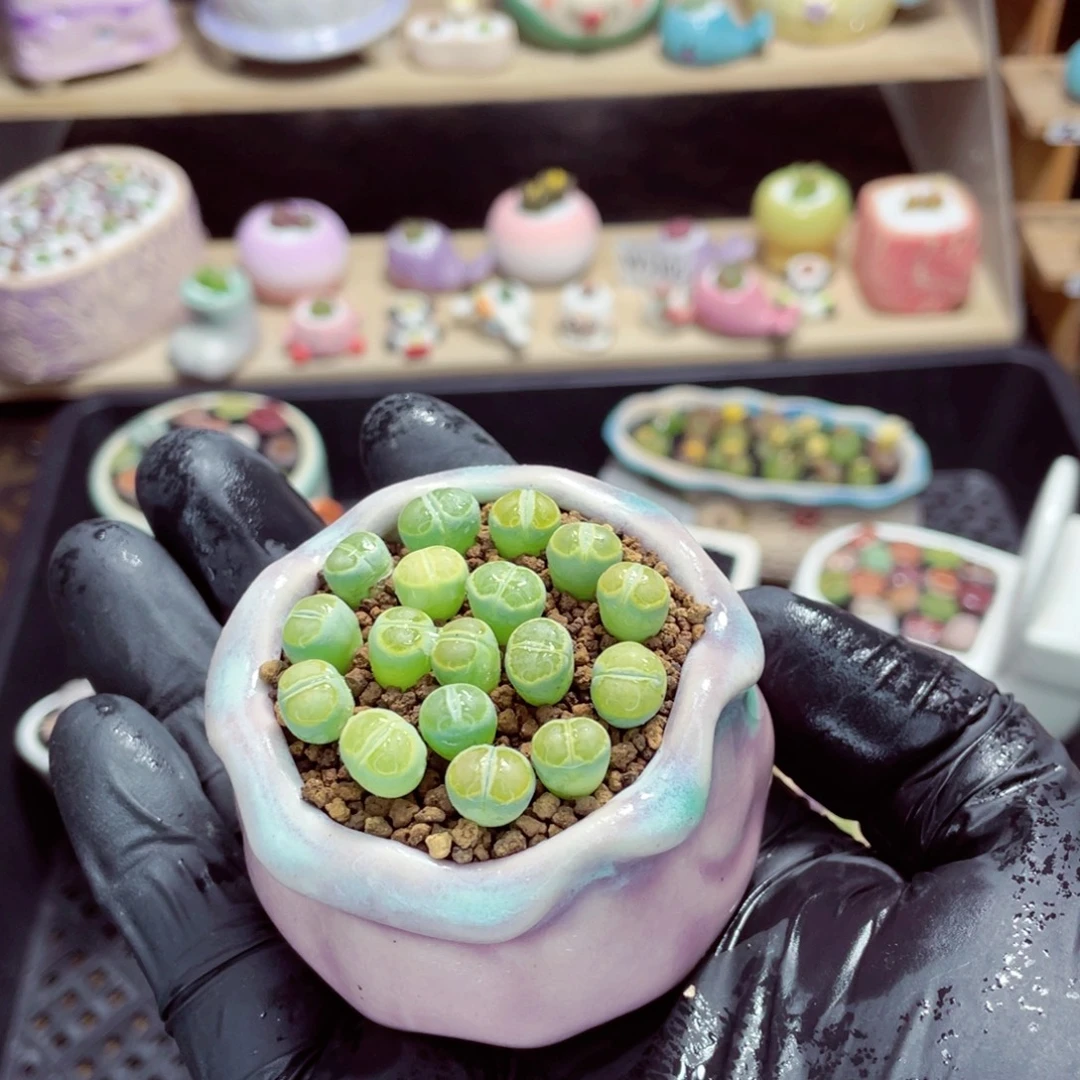 夜间零下地区拍保温箱w5319