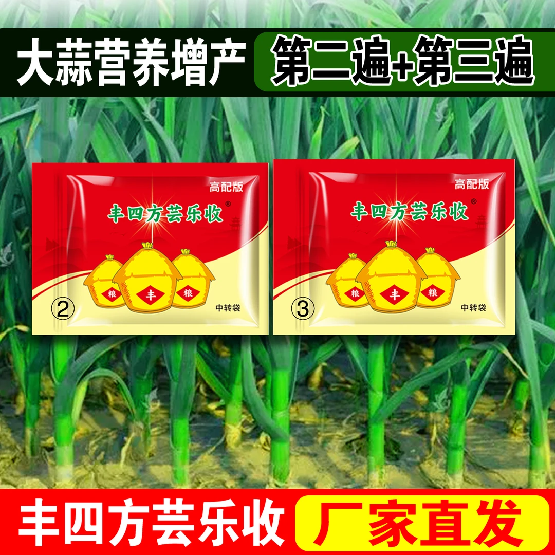 丰四方芸乐收大蒜营养增产