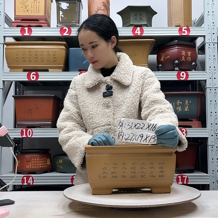 紫砂花盆紫砂花盆