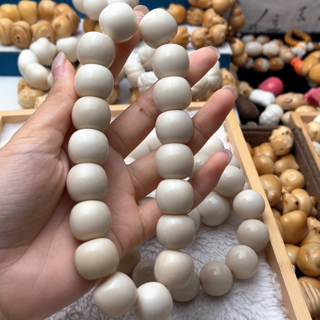 把件菩提根/象牙果卡1819桶珠