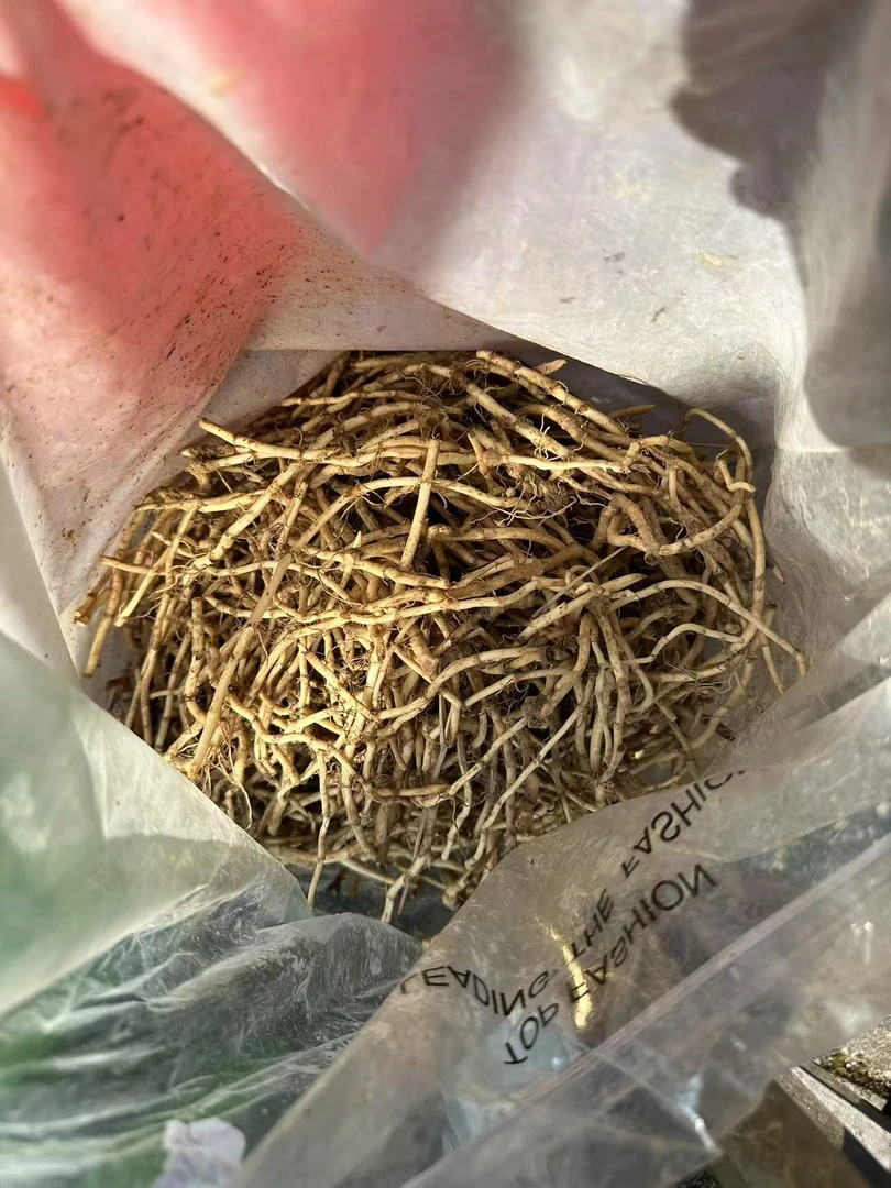 阿红代卖精选农家折耳根