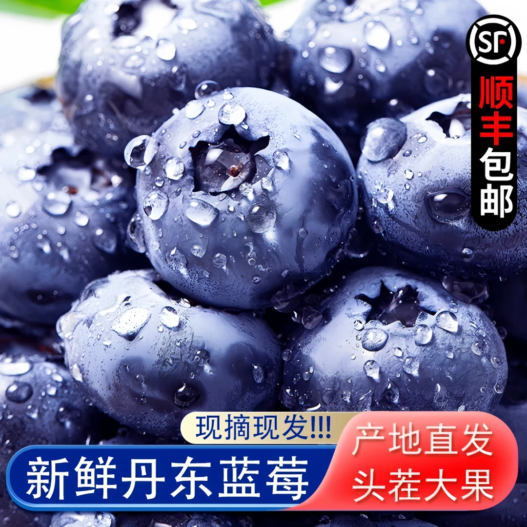 【拍八盒送四盒】大颗蓝莓鲜果新鲜水果当季大蓝莓怡颗整箱包邮顺丰
