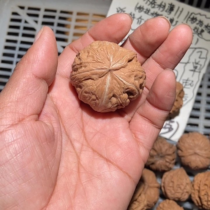 ****z核桃元宝尺寸40全品