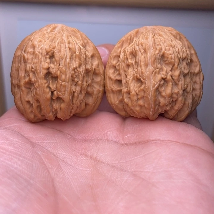 核桃全品密纹狮子头