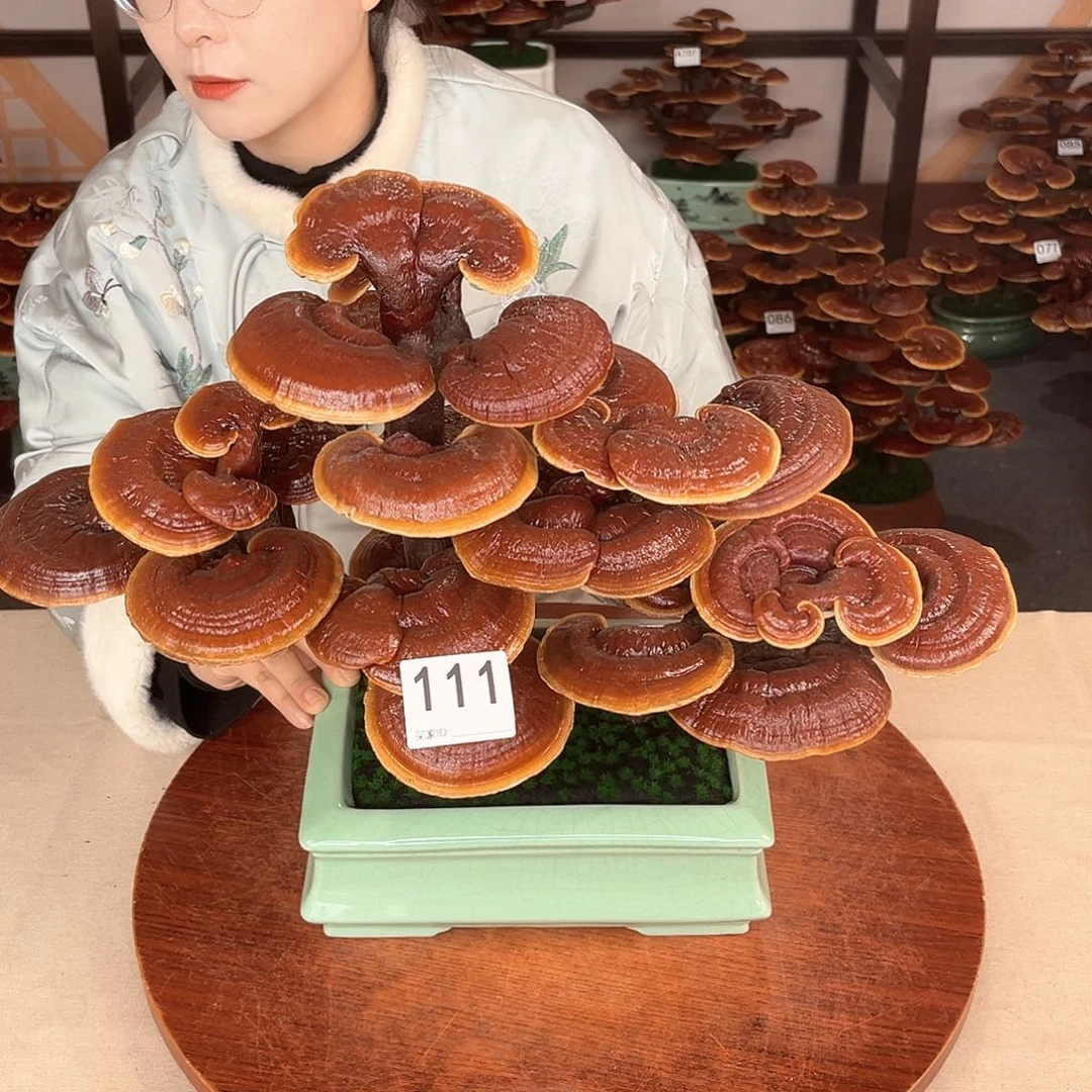 万事如意11111888888111