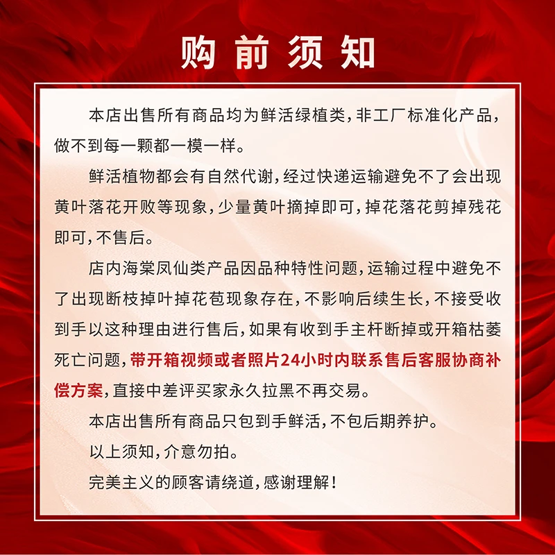 福袋专用链接  随机花花一箱