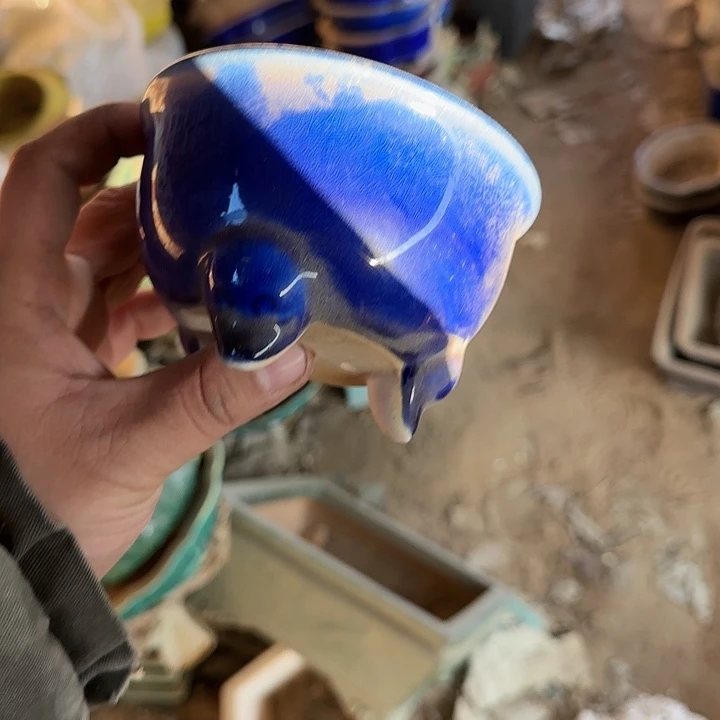 在这片美丽之滨也可以感受自然美白自然又清新美发魅力