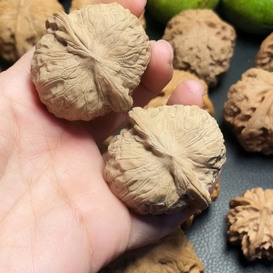 文玩核桃南瓜墩一对