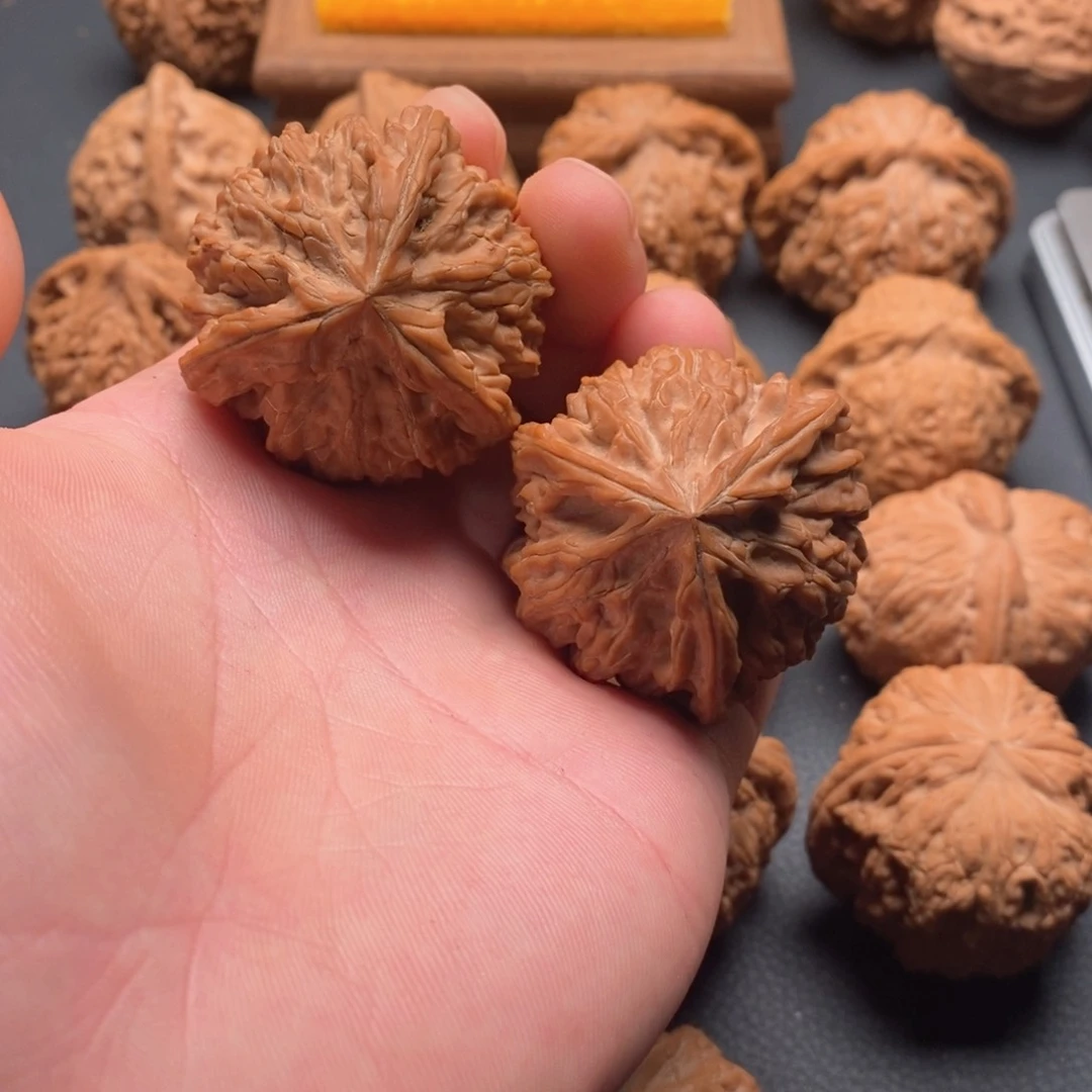 手串/手链核桃御龙粗筋球奔43全品