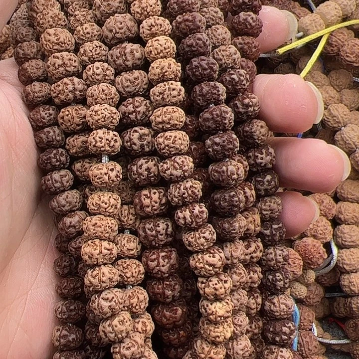 ◆***乯手串金刚菩提谢谢