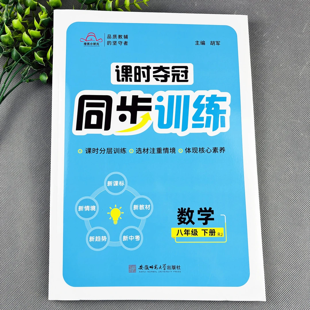 八年级下册数学同步训练人教版数学练习册课时夺冠一课一练专项练