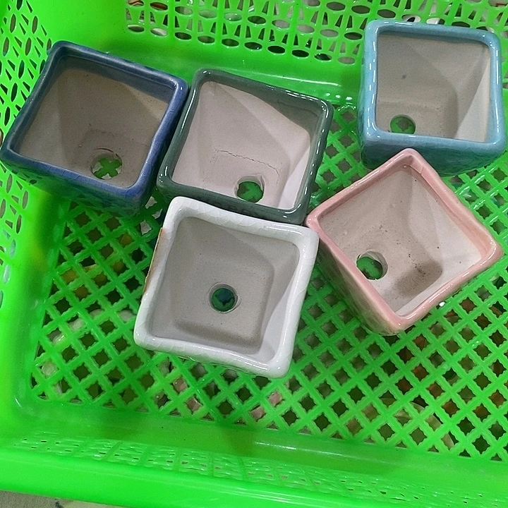 花盆抢购清货马上开始