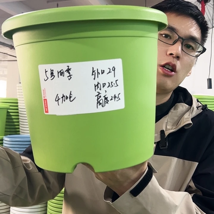 特价5号四季口29高24.5果绿带托6只