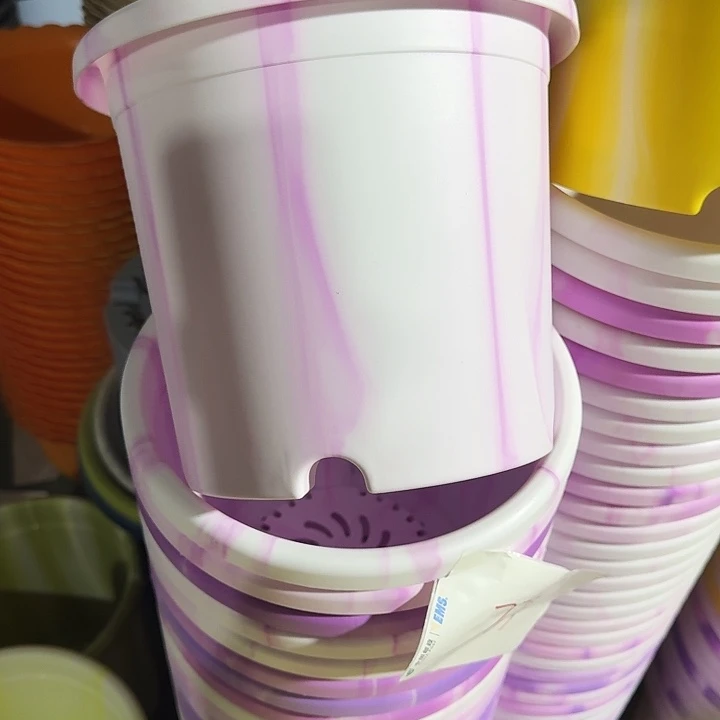 四季4号紫色琉璃无托10个特价