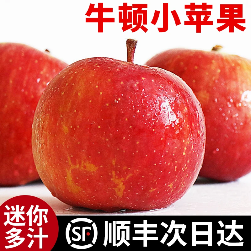 【顺丰送上门】南非进口牛顿小苹果2-20个（4两-4斤左右）新鲜水果当季脆甜苹果苹果同城送